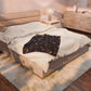 Gothic Raven & Owl Velveteen Plush Blanket – Lightweight Purple Moon and Moth Throw