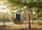 Black Cat Patriotic Butterfly Garden Ceramic Ornament (Double‑Sided) - Divine Mystic Moons